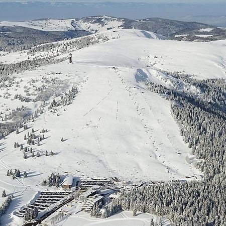 Residenz Grafenmatt Feldberg Daire Feldberg  Dış mekan fotoğraf